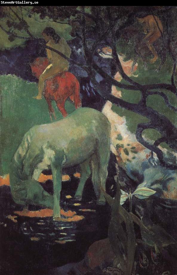 Paul Gauguin Whitehorse